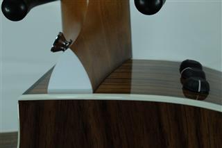 TAYLOR GUITARS 214CE DLX